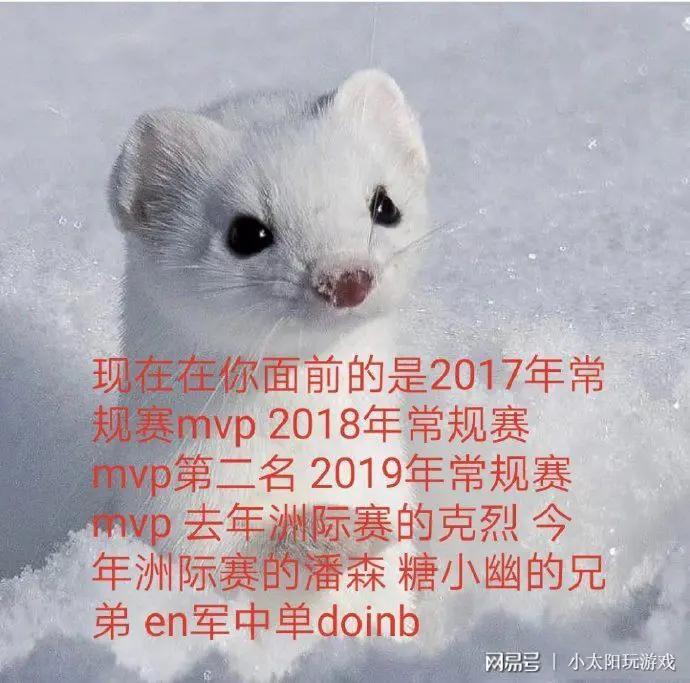 Doinb官方宣布出色发挥新规，塞尔维亚队引发争议！